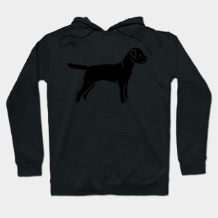 Border Terrier Hoodie